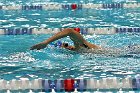 Swimming vs Bentley  Wheaton College Swimming vs Bentley. - Photo By: KEITH NORDSTROM : Wheaton, Swimming, Bentley